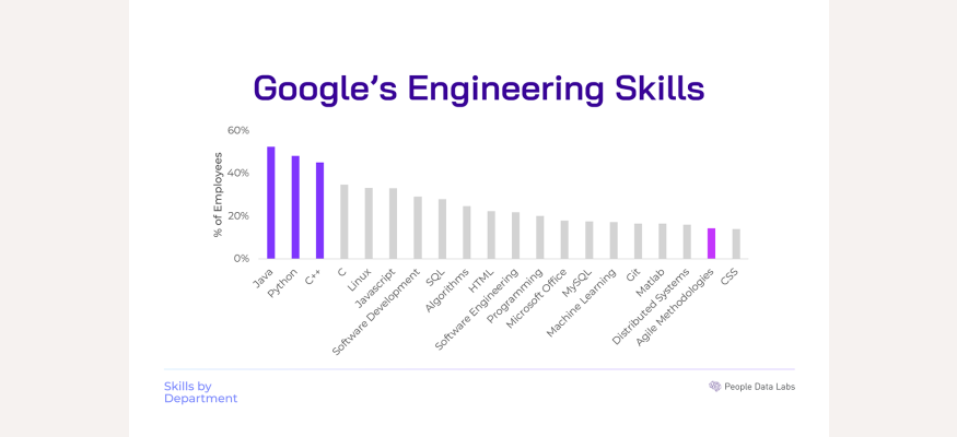 google eng skills