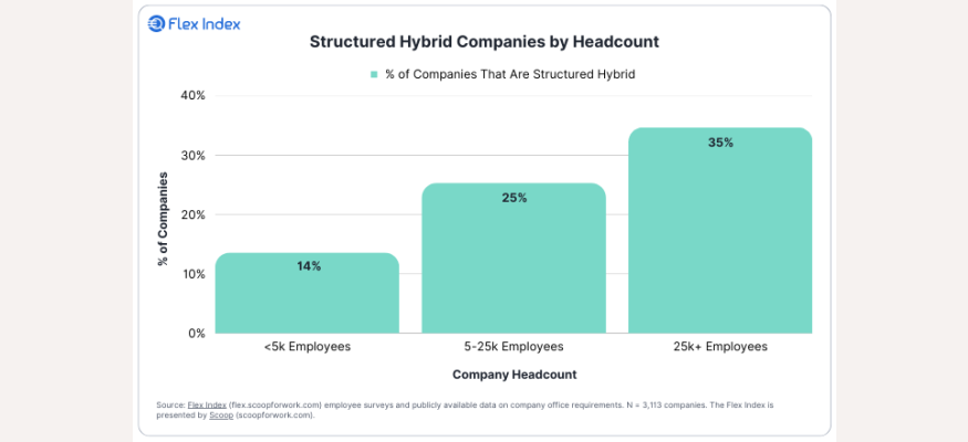 Structured Hybrid Companies by Headcount 